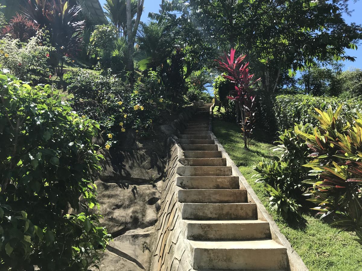 Villa Costa Pura Vida Охочаль Экстерьер фото