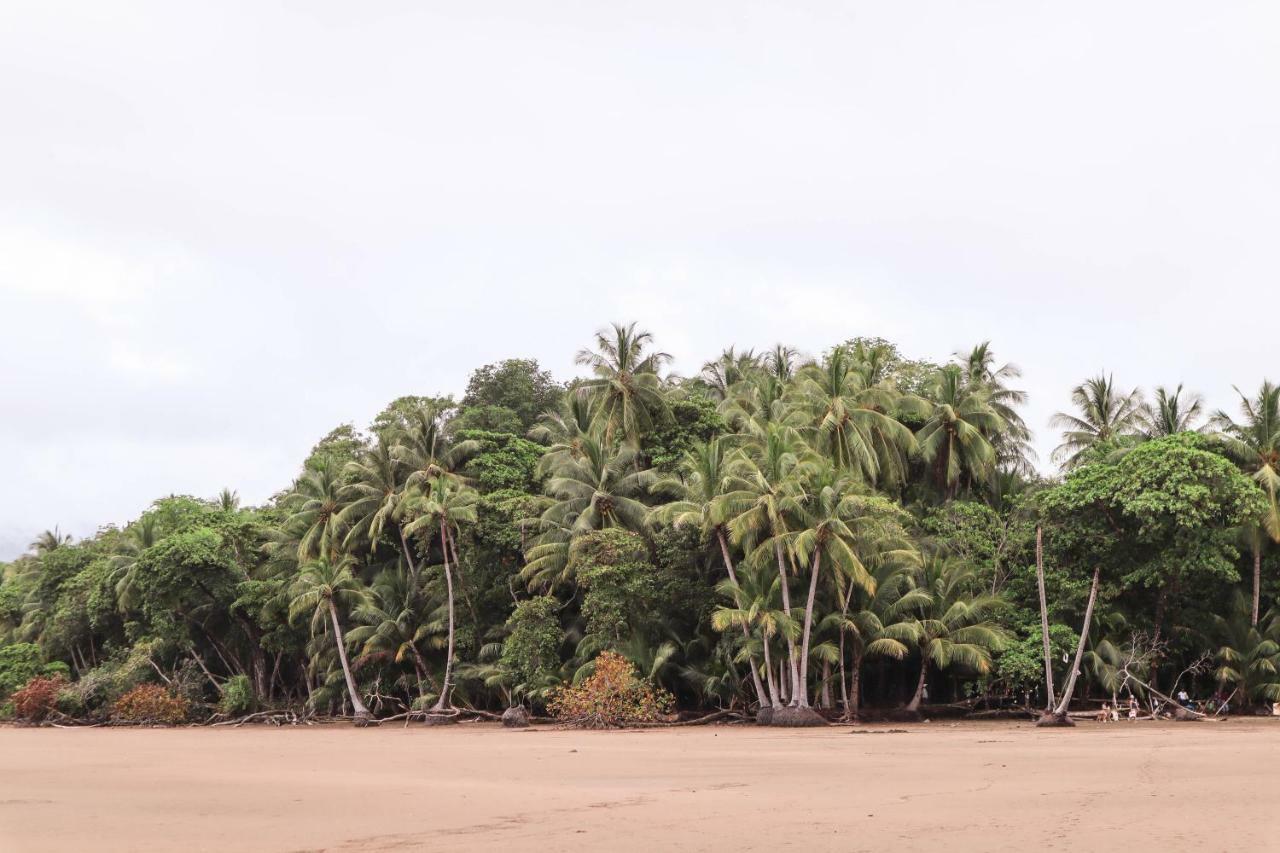 Villa Costa Pura Vida Охочаль Экстерьер фото